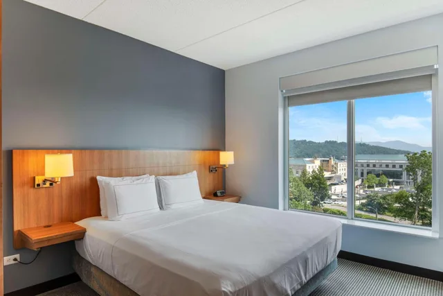 غرفة بسرير كينج بإطلالة على الجبل مع أريكة، Doubletree By Hilton Asheville Downtown 1/8