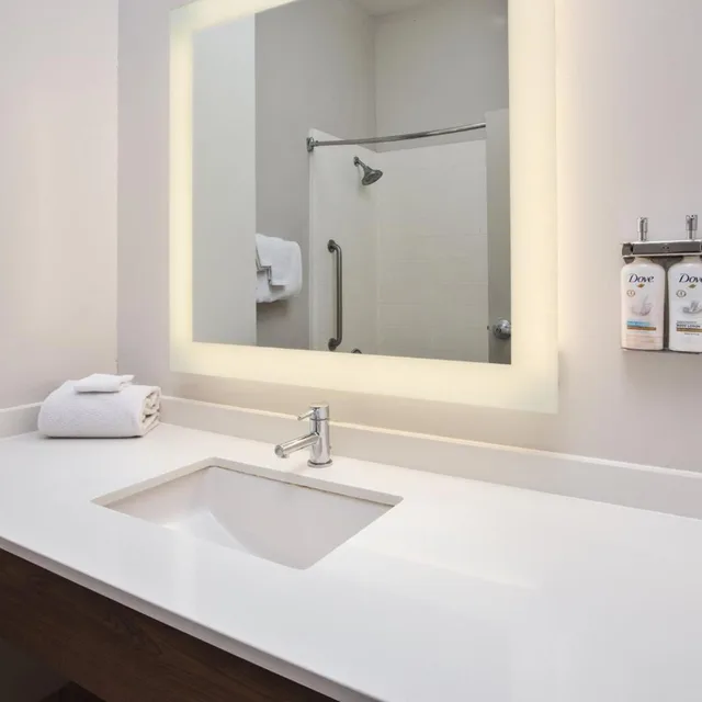 غرفة قياسية بسرير مزدوج، Holiday Inn Express Hotel Suites Athens 3/5