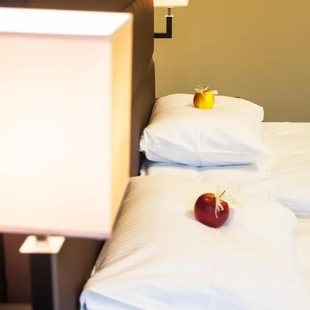 غرفة بسريرين منفصلين، Hotel Ilan 2/4