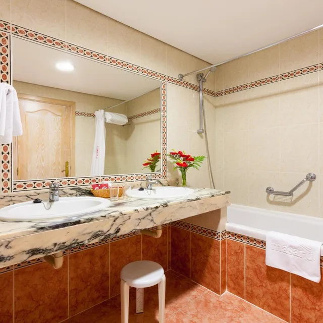 شقة بشرفة بغرفة نوم واحدة مع أريكة، Masaru Apartamentos 3/3