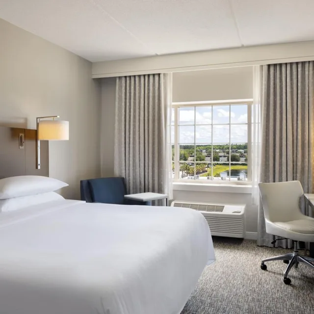 غرفة تقليدية بسرير كينج، Sheraton Jacksonville Hotel 1/10