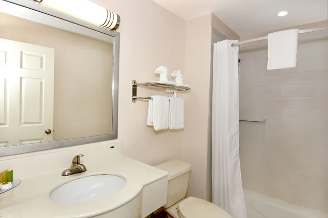 غرفة قياسية بسرير كينج للمدخنين، Ardsley Acres Hotel Westchester 5/5