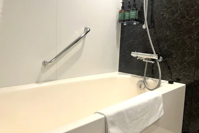 Standard, Double Bed, City View, High Floor, Ana Crowne Plaza Sapporo 5/5