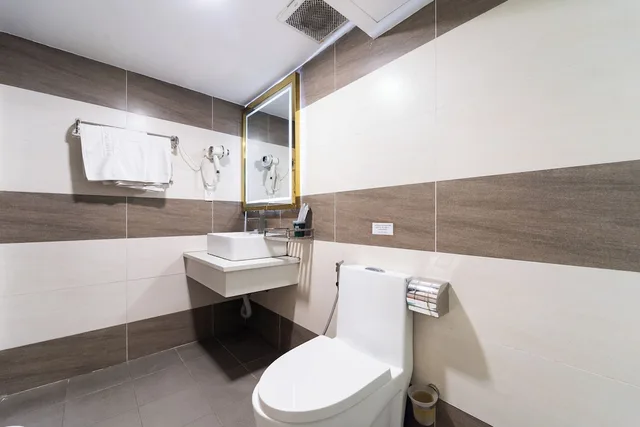 Standard, Double Bed, Collection O Havana Airport Hotel 6/6