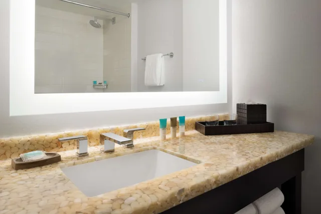جناح تنفيذي بسرير كينج، Hyatt Regency Schaumburg Chicago 6/6