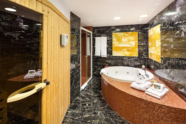 جناح سوبيريور بغرفة نوم واحدة، DoubleTree by Hilton Ljubljana 5/6
