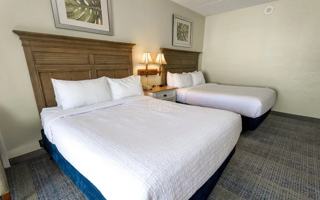 Efficiency, Pinnacle, 2 Queen Beds, Ocean View، Compass Cove Resort 1/2