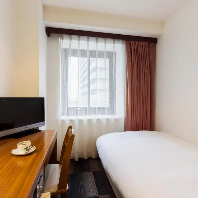 غرفة مفردة بحوض استحمام للمدخنين، City Hotel Airport In Prince 1/6