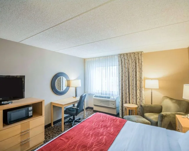 غرفة قياسية بسرير كينج بحوض جاكوزي، Comfort Inn Fairgrounds 2/2