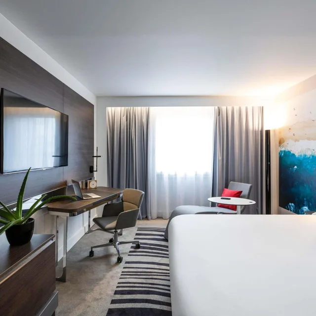 غرفة ديلوكس بسرير مزدوج، Novotel Bordeaux Centre 8/10