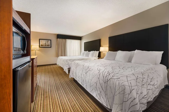 جناح بسريرين كينج مع أريكة، Best Western Park Oasis Inn 1/2