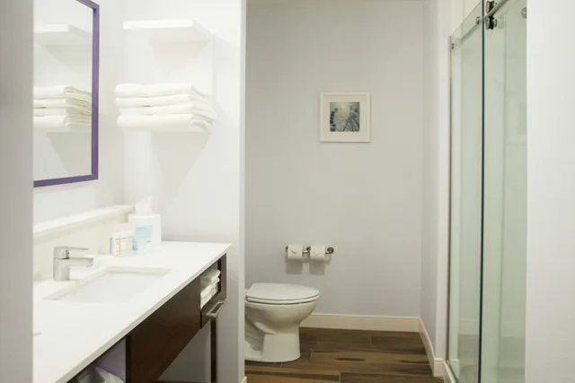 غرفة بسرير كينج، Hampton Inn And Suites Warrington Horsham 2/2