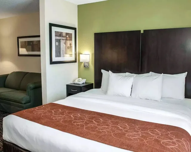 جناح استوديو بسرير كينج مع أريكة، Comfort Suites West Indianapolis - Brownsburg 1/4