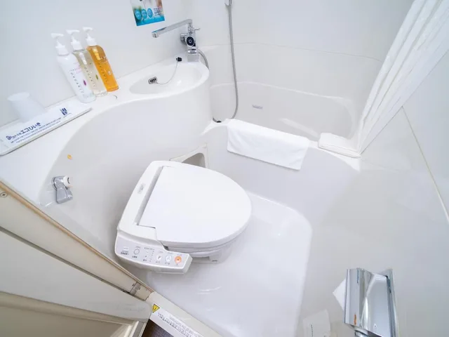 Extra, Double Bed, Super Hotel Tokyo Kameido 2/2