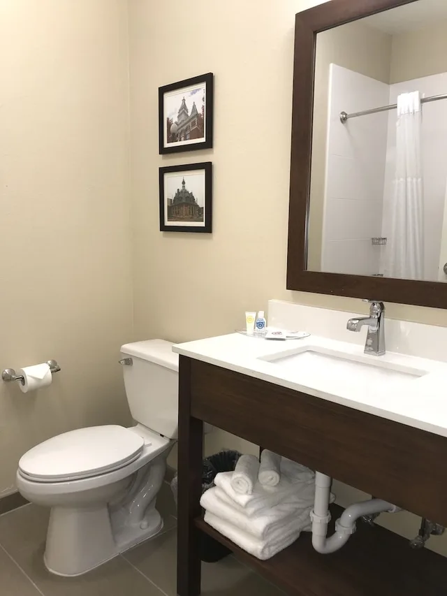 غرفة قياسية بسرير كينج، Comfort Suites Clarksville near Governors Square Mall 3/3