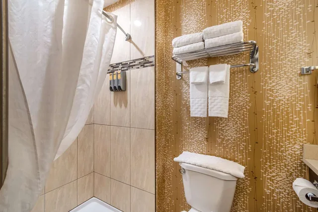 غرفة بسرير كينج بمطبخ صغير لذوي الإعاقة، Best Western Plus Kindersley Hotel 5/5