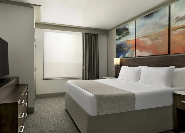 Suite, King Bed, Accessible, Buena Vista Suites 1/8