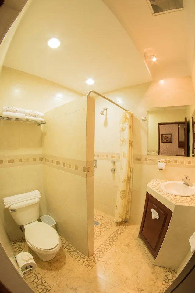 جناح جونيور مفردة بسرير كينج، Meson de Los Remedios Hotel 4/4