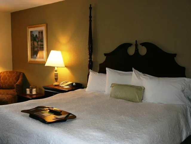 غرفة بسرير كينج بحوض جاكوزي، Hampton Inn Canton 3/4