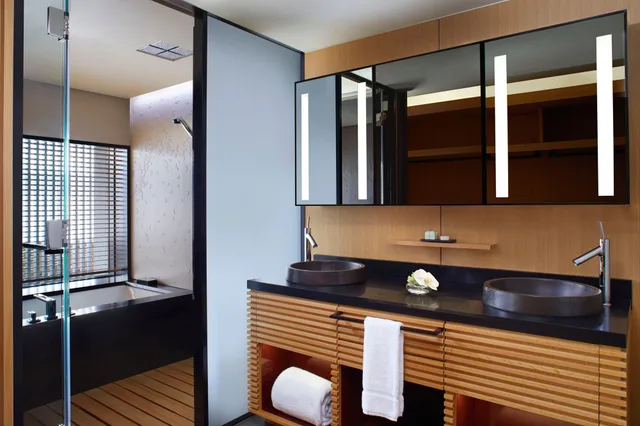Suite, King Bed, Mountain View, The Ritz Carlton Kyoto 4/4