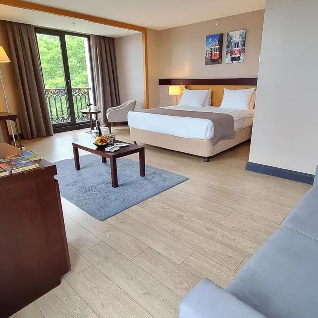 غرفة ديلوكس بسرير مزدوج بإطلالة جزئية على البحر، Port Bosphorus Hotel 3/5