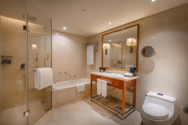 Deluxe, Twin Beds, Sheraton Changsha Hotel 7/9