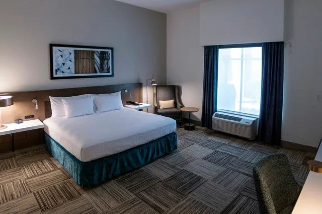 غرفة ديلوكس بسرير كينج لذوي الإعاقة، Hilton Garden Inn Spartanburg Sc 1/1