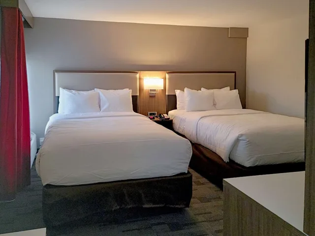 جناح بسريرين كوين مع أريكة، Comfort Inn & Suites Wyomissing/Reading 2/10