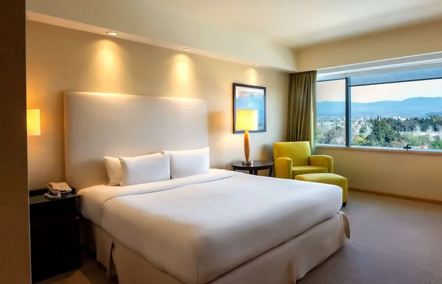 جناح تنفيذي بسرير كينج بغرفة نوم واحدة، Hilton Mendoza 1/4