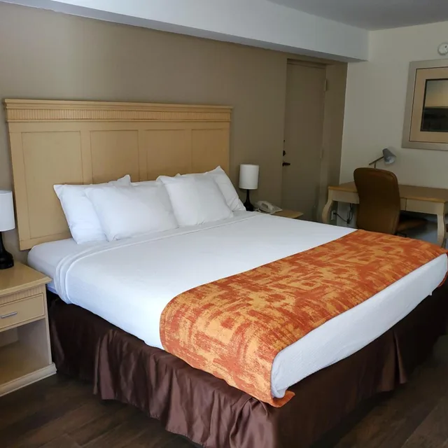 Room, Queen Bed, Exterior Entrance, Accessible، THE PARAGON of Golden Isles 3/5