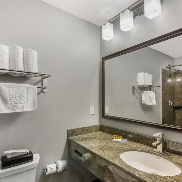 Room, Single, King Bed, Sofa, Best Western Plus Williston Hotel & Suites 5/5