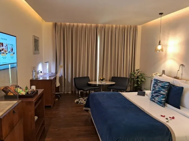 غرفة فاخرة بريميوم، The Park New Delhi 7/9