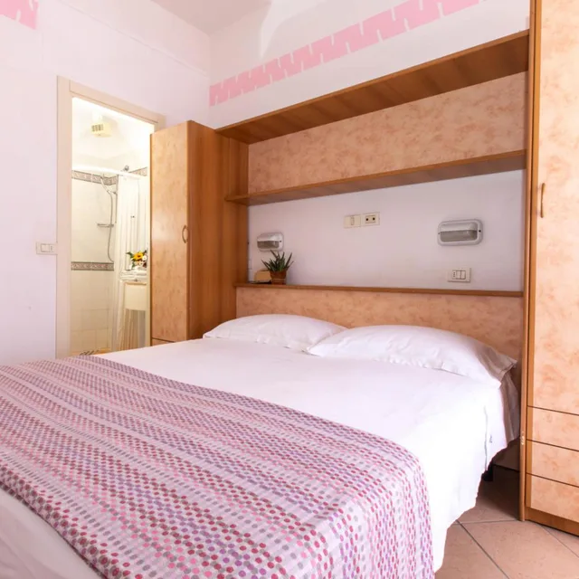 غرفة اقتصادية بسرير مزدوج أو سريرين منفصلين، Hotel Holland 2/5