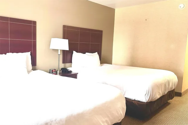 غرفة بسريرين كوين، Econo Lodge City Centre Kingston 6/8