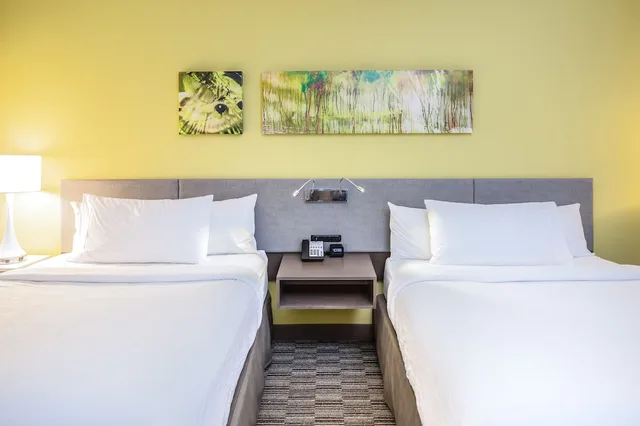 2 Queen Beds Limited View - Comp Wifi- Hdtvs with Hidef Channels - Refrigerator-Microwave- Pod Coffee Brwr، Hilton Garden Inn Ft. Walton Beach 3/4