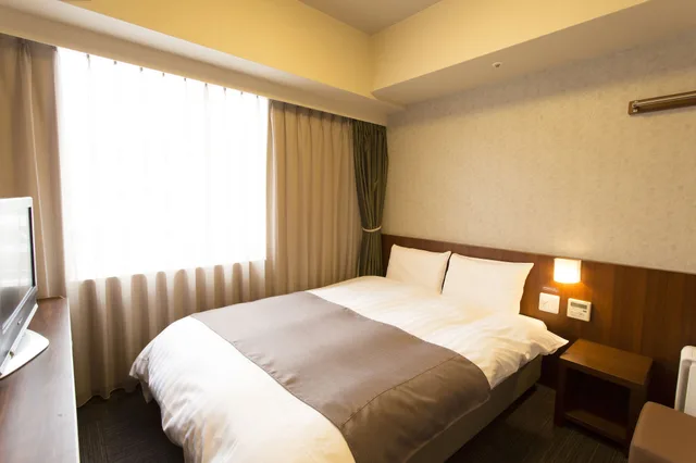 Moderate, Double Bed، Dormy Inn Kumamoto 1/4