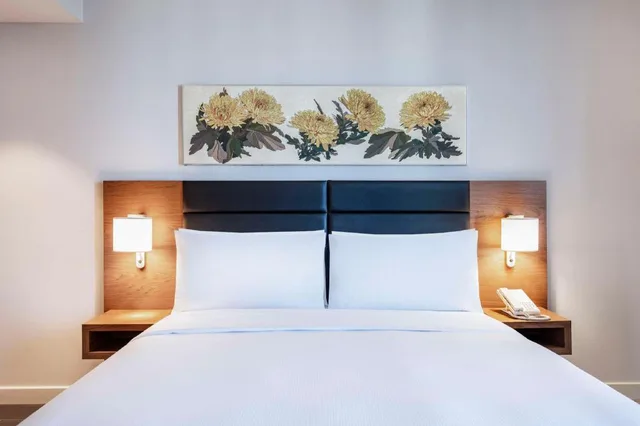 جناح بسرير كينج بغرفة نوم واحدة مع أريكة، Hilton Garden Inn Tbilisi Chavchavadze 4/5