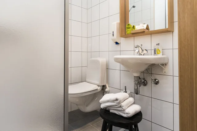 غرفة اقتصادية بسرير مزدوج بحمام خاص، Alva Hotel 7/9
