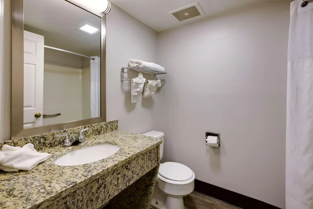 Upgrade, King Bed، Travelodge by Wyndham Canton/Livonia Area, MI 2/4