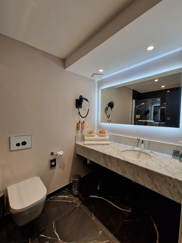 غرفة سوبيريور بسرير مزدوج بإطلالة على المسبح، MERCURE ORLEANS CENTRE 5/9
