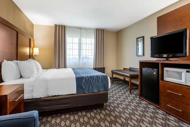 غرفة مفردة بسرير كينج مع أريكة، Comfort Inn Story City 5/6