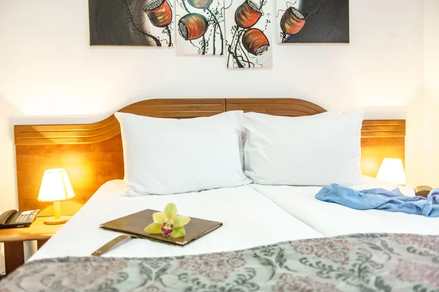 غرفة قياسية بسرير مزدوج، Hotel Parc Sibiu 3/4