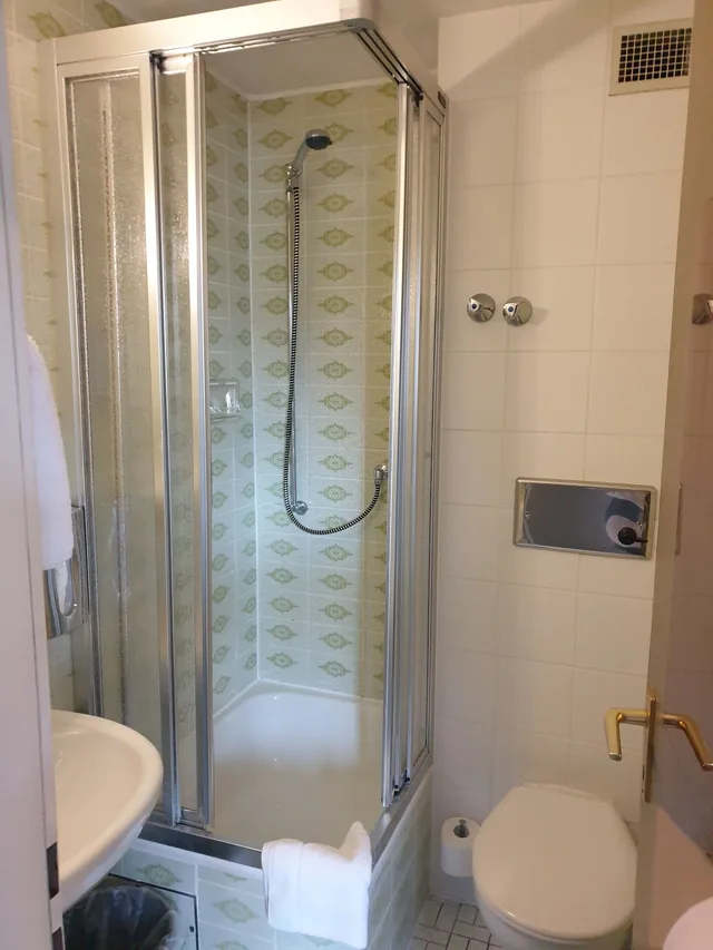 Retro, Compact, Single, Single Bed, No Balcony، Hotel Waldblick 8/10