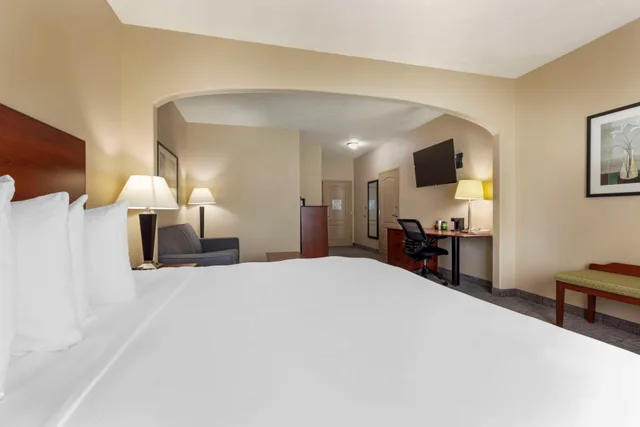 جناح بسرير كينج مع أريكة بمنطقة جلوس لذوي الإعاقة، Best Western Franklin Town Center Hotel & Suites 2/4