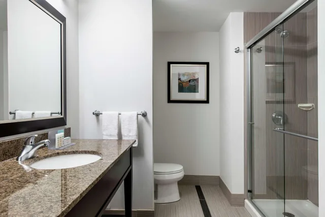 Study, King Bed, Sofa، Hampton Inn By Hilton Winnipeg Airport 3/3