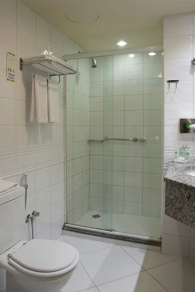 Deluxe, Apartment, Master Porto Alegre (ex. Holiday Inn Porto Alegre) 3/3