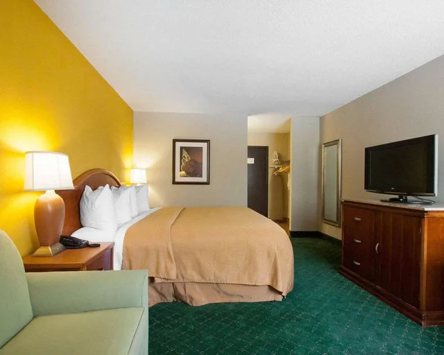 غرفة بسرير كينج، Quality Inn Cairo I-57 1/3