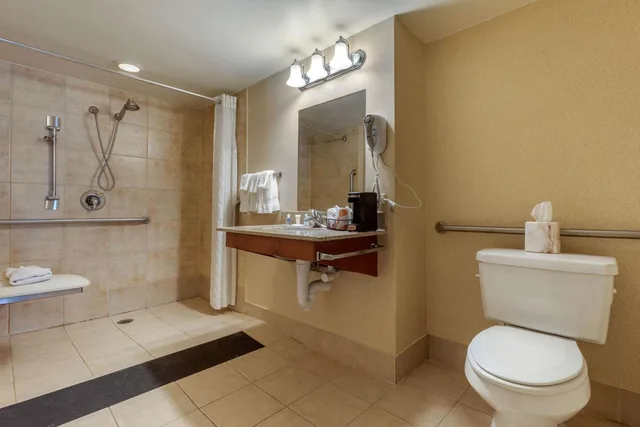 Efficiency, King Bed, Accessible، Suburban Studios Arlington Heights - Elk Grove 4/4