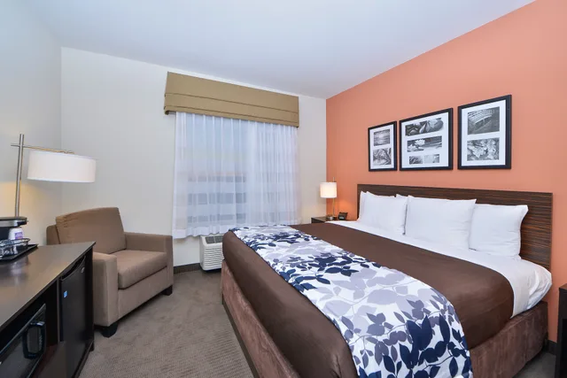 جناح بسرير كينج مع أريكة، Sleep Inn Suites Austin Northeast 2/4