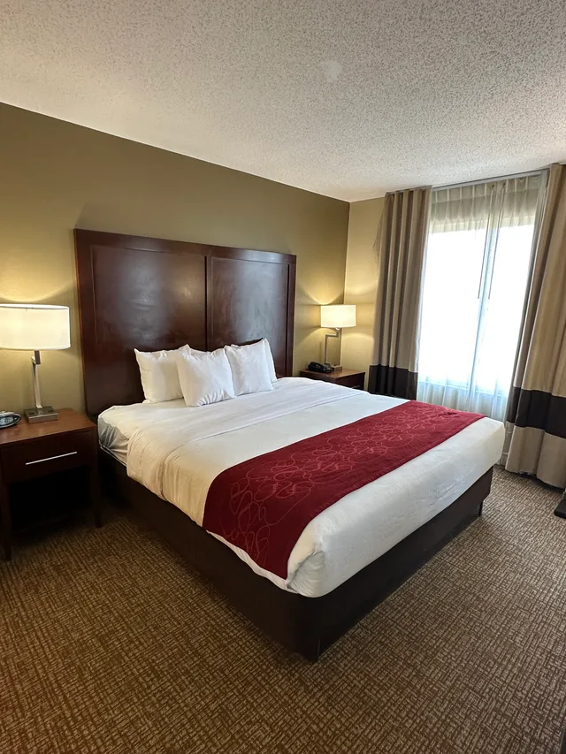 جناح بسرير كينج بغرفة نوم واحدة، Comfort Suites Airport Charlotte, NC 1/1